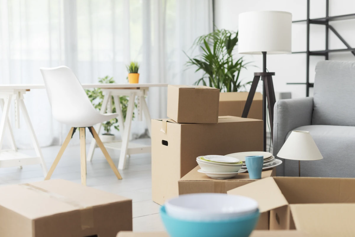 Révolution immobilière : les nouvelles lois qui changent la donne pour les propriétaires et locataires