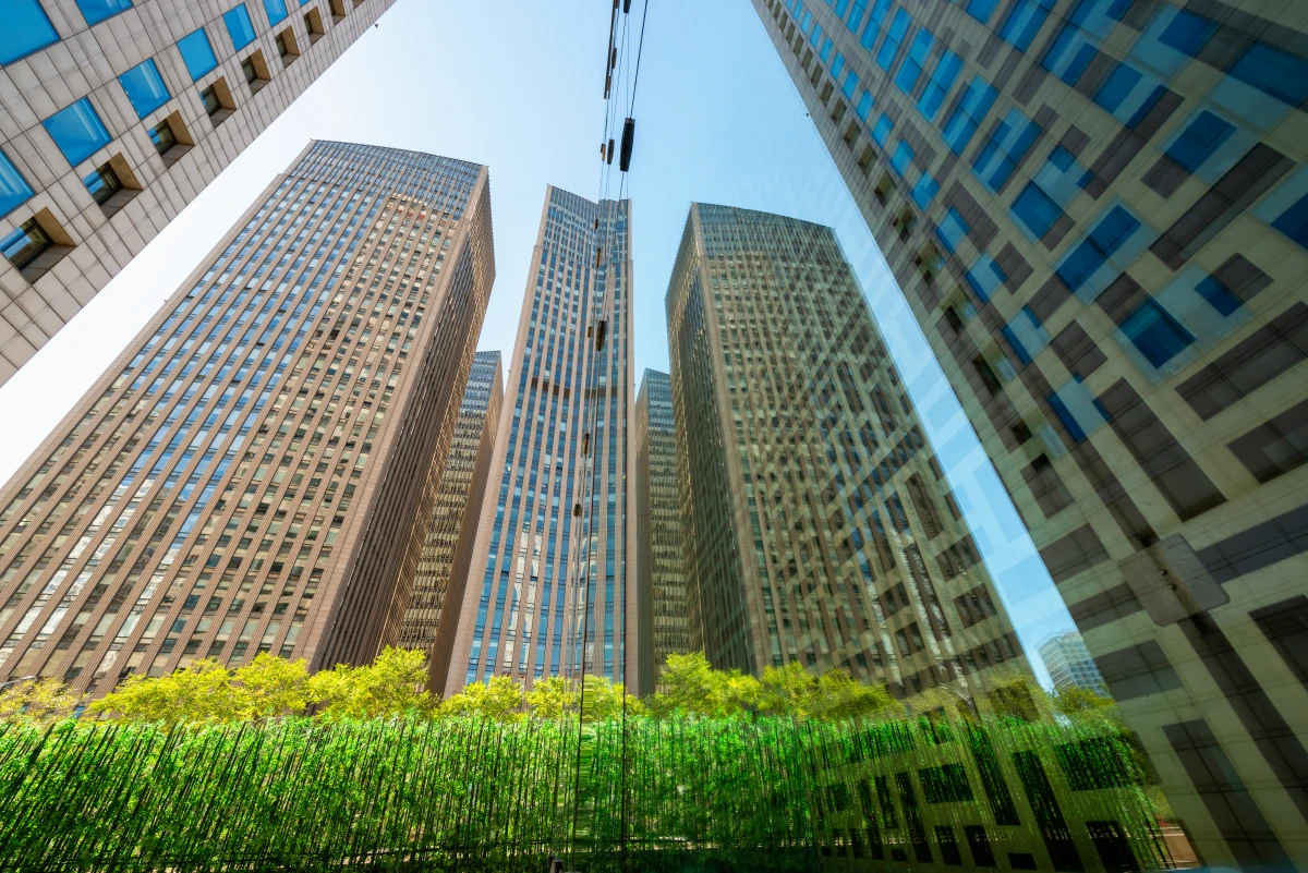 La révolution verte de l'immobilier : quand écologie rime avec qualité de vie