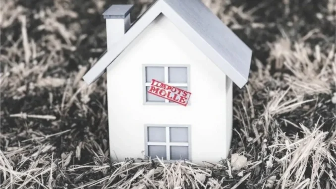 impots-immobiliers-e