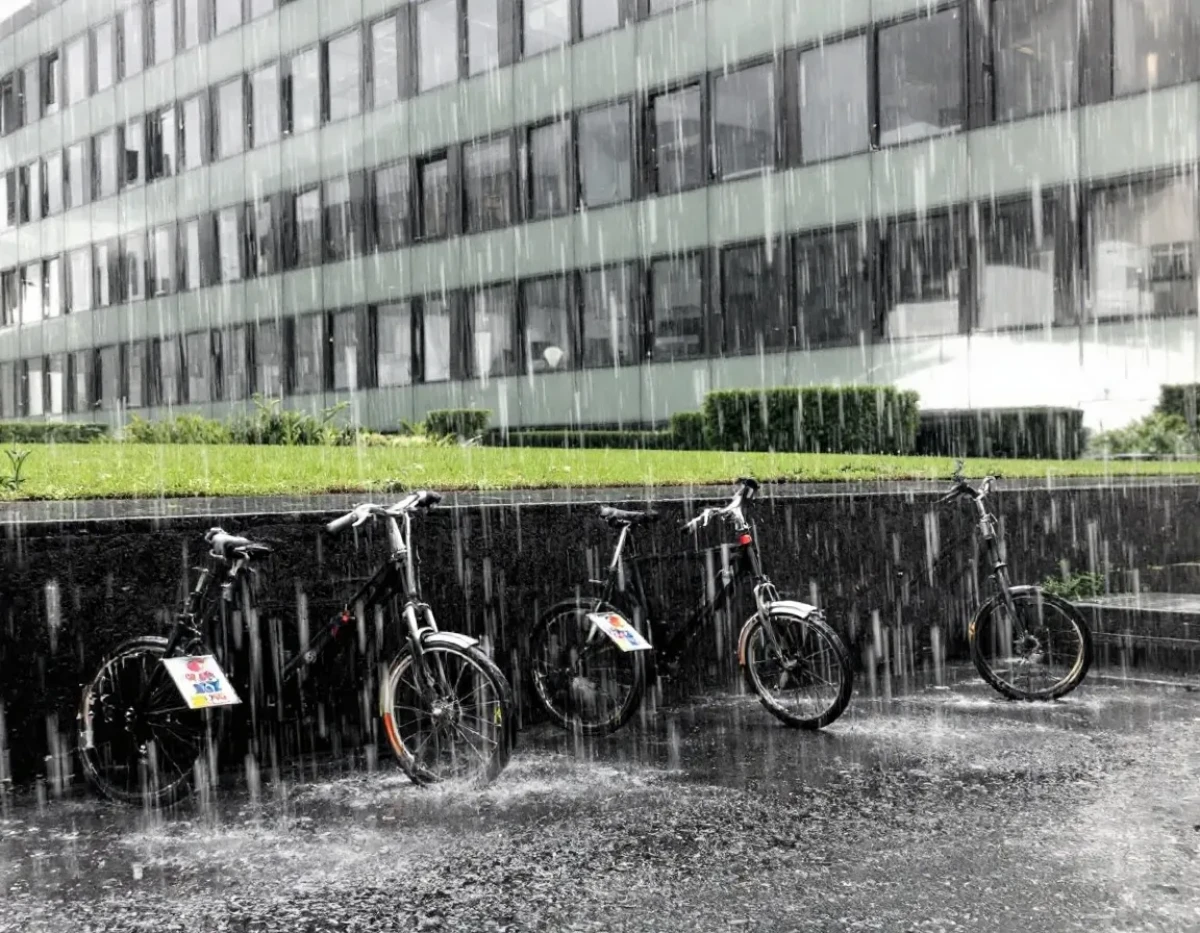 Impact de la Pluie sur un Nouveau Gazon Semé : Conseils et Actions à Entreprendre